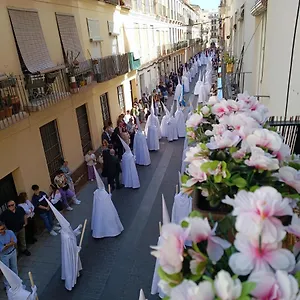 https://new-luxury-city-center-5pax-2-balconies.es-andalucia.com