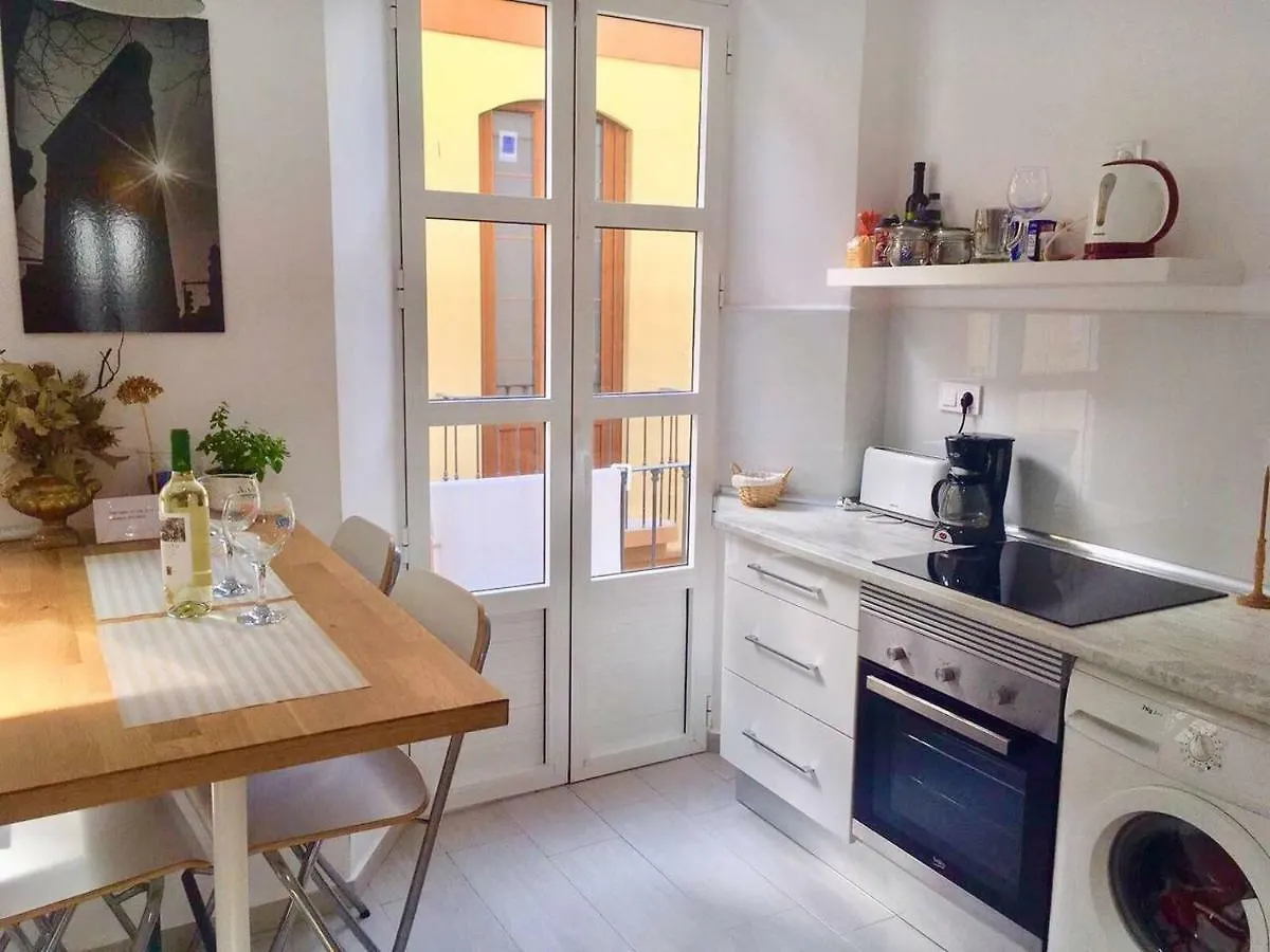 Apartmán Clemens9 Premium Màlaga 0*,